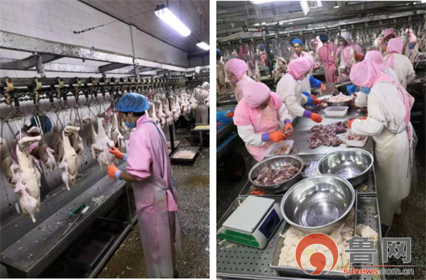 德州禹城市倫鎮(zhèn) 四項強化舉措守護“舌尖上的安全”，餐飲管理成效顯著